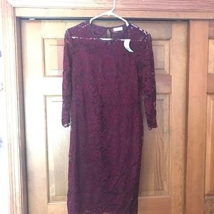 New York & Company Lace Sheath Dress